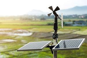 Akıllı Teknolojilerle Türkiye`de Zeytincilik Yükseliyor!