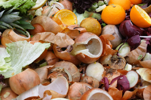 Kompost Nedir? Evdeki Atıklarından Nasıl Kompost Yapılır ?