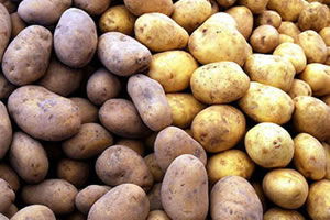 Patates İthalatında Gümrük Vergisi Yok!