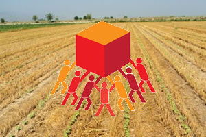 O Sorunun Ortadan Kalkmasının Tek Yolu Örgütlenme