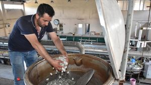 Türkiye`nin yaş koza üretim merkezi Çin`i gözüne kestirdi