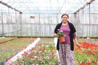 Muğlalı çiftçiye alım garantili destek
