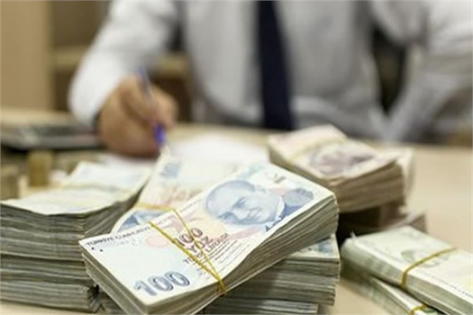 `UZMAN ELLER PROJESİ`NDE HİBE BAŞVURULARI BUGÜN BAŞLADI