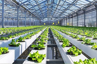 Tarımsal Üretime Yönelik İşletme ve Yatırım Kredilerinde Faiz İndirimi