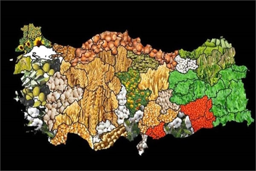 2020 Yılı Tarım Havzalarında Desteklenecek Ürün Listeleri