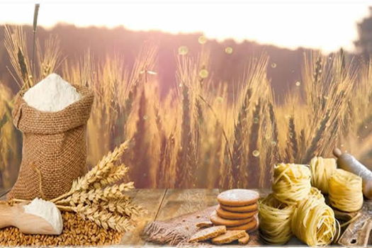 Buğday Dış Ticaretiyle Ülke Ekonomisine 12,5 Milyar Dolar Gelir