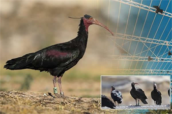 Turistler İçin İlgi Odağı Oldu