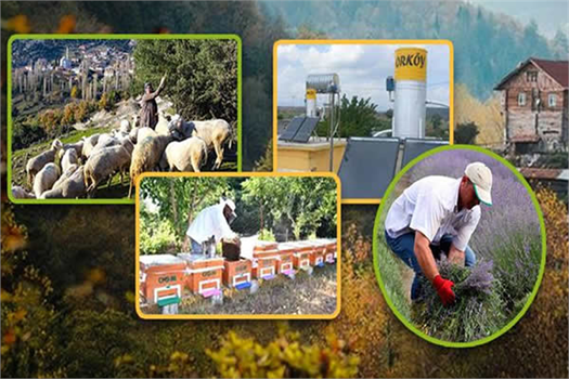 Son 17 Yılda Orman Köylüsüne 2,8 Milyar Liralık Destek