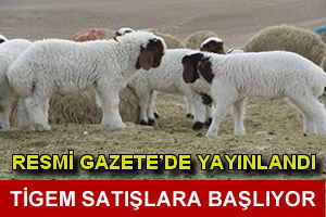 TİGEM Satışlara Başlıyor
