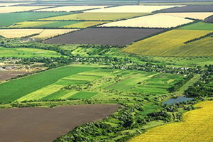 IMF`nin İstediği `Tarım Arazilerinin Satışını Öngören Tasarı` Yasalaştı