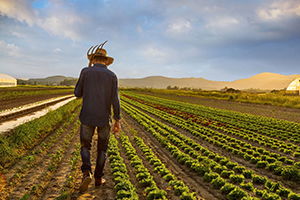 Reuters: Britanya, Koronavirüs Nedeniyle Vatandaşlarına Tarım İşçisi Olma Çağrısında Bulundu