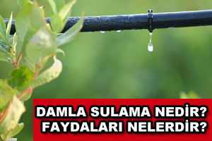 Damla Sulama Nedir? Faydaları Nelerdir?
