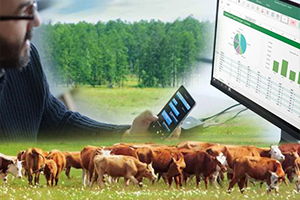 Bilgisayarlı Sürü Yönetim Sistemi Hakkında Bilinmesi Gerekenler