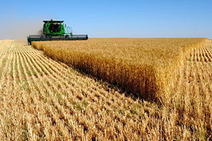 Bitkisel Ürün Desteklerine Yönelik Başvuru Tarihleri Uzatıldı