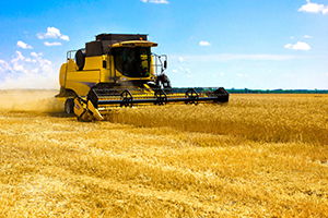 Tarımsal Girdi Fiyat Endeksi Açıklandı