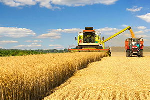 1 Milyar 987 Milyon Liralık Destek Ödemesi Bugün Başlıyor