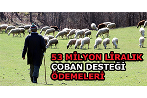 53 Milyon Liralık Çoban Desteği Ödemeleri