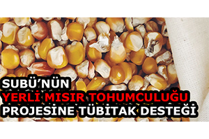 SUBÜ`nün Yerli Mısır Tohumculuğu Projesine TÜBİTAK Desteği