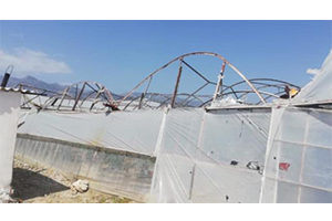 Şiddetli Rüzgar Seralarda Zarara Neden Oldu