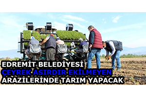 Edremit Belediyesi Çeyrek Asırdır Ekilmeyen Arazilerinde Tarım Yapacak