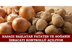 Hasadı Başlayan Patates ve Soğanın İhracatı Kontrollü Açılıyor