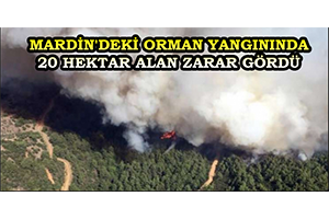 Mardin`deki Orman Yangınında 20 Hektar Alan Zarar Gördü