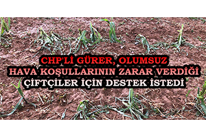 CHP`li Gürer, Olumsuz Hava Koşullarının Zarar Verdiği Çiftçiler İçin Destek İstedi