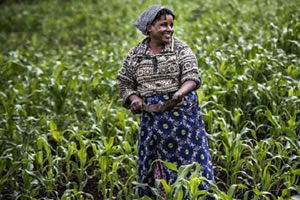 FAO: KÜRESEL GIDA FİYATLARI TEMMUZDA ARTTI