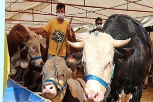 ÜRETİCİNİN ELİNDE KALAN KURBANLIKLARI ESK ALACAK