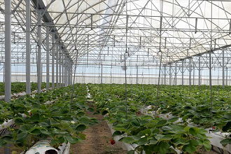 TİKA`dan Moğolistan`da Seracılığa Destek