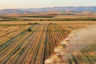 Tarım- GFE Geçen Yıla Göre Arttı