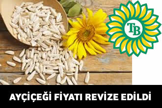 Trakya Birlik, ayçiçeği avans alım fiyatını revize etti