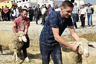 TİKA`dan KKTC`de Çiftçilere Destek