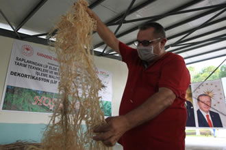 Türk Mühendisleri Kenevir Lif Sıyırma Makinesi Geliştirdi
