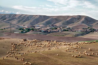 Şanlıurfa`nın Bozkır Ekosistemleri Koruma Altına Alınıyor