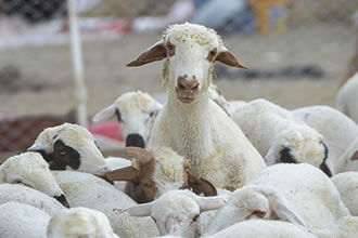 `Köyümde Yaşamak İçin Bir Sürü Nedenim Var` projesi protokolü imzalandı