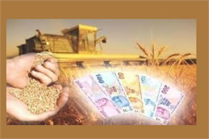 KIRSAL KALKINMAYA BÜYÜK DESTEK