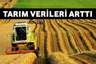 Tarım ÜFE Ekim Ayında Arttı