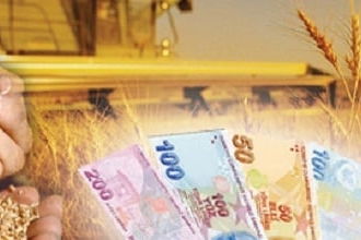 Narenciyede Sıcaklık Zararı TARSİM Kapsamına Alındı