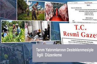 Tarım Yatırımlarının Desteklenmesiyle İlgili  Düzenleme