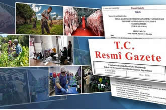 Tarımda Modernizasyona Hibe Desteği