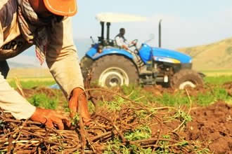 Çiftçilerin İcra ve Hacizleri 3 Aylığına Ertelendi