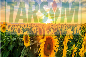 TARSİM, 25 Milyon Dekarlık Alanı Sigortaladı