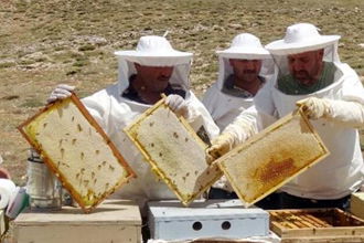 Arıcılara Meteorolojik Destek