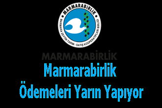 Marmarabirlik Ödemeleri Yarın Yapıyor