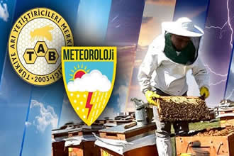 Arıcılık Projelerine Yüzde 50 Destek