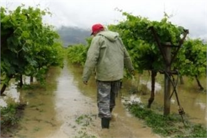 Meteoroloji`den Çok Sayıda İle Sağanak Yağış Uyarısı