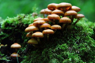 Dünyayı Kurtaracak Tarım Yenilikleri