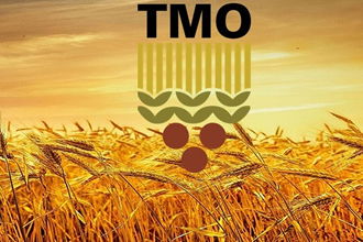 TMO Hububat Satışına Devam Ediyor