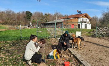 Şehir Hayatından Sıkıldılar Köyde Yaşam Kurdular